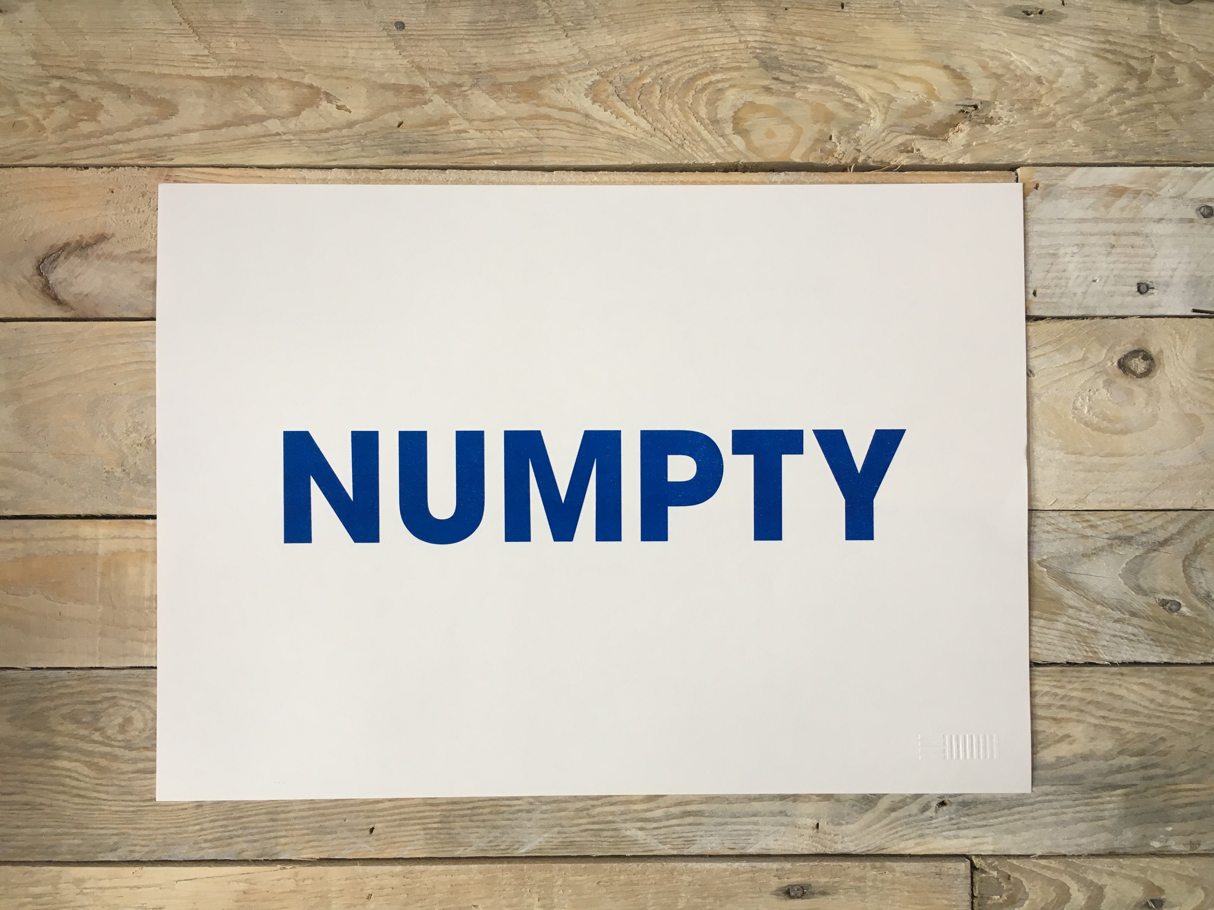 A3 NUMPTY RISO PRINT - POMPEY TYPE SERIES - foursandeights