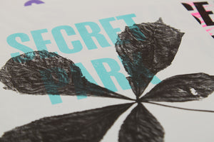A3 POMPEY FOUND SERIES – SECRET PARK