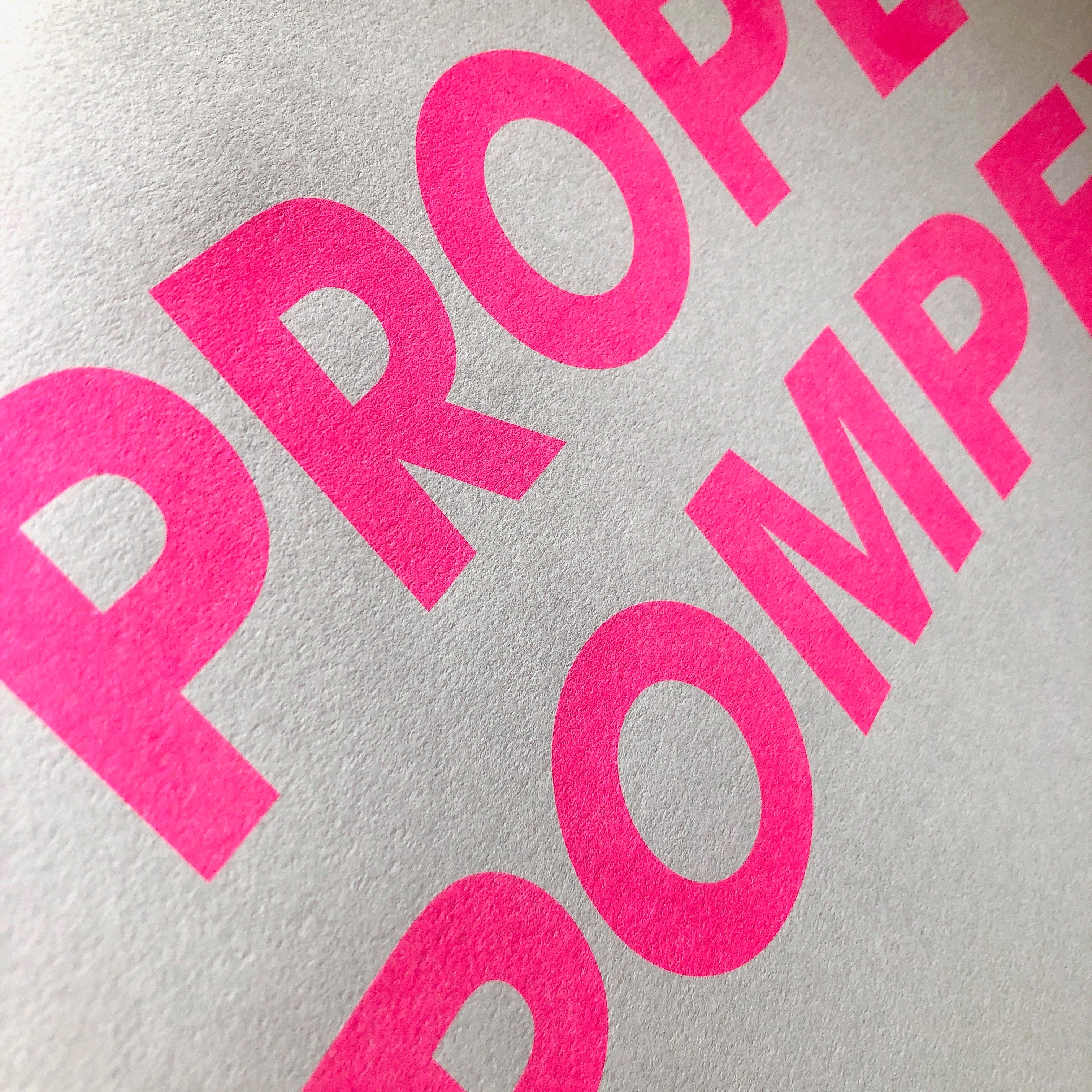 A3 PROPER POMPEY RISO PRINT - POMPEY TYPE SERIES