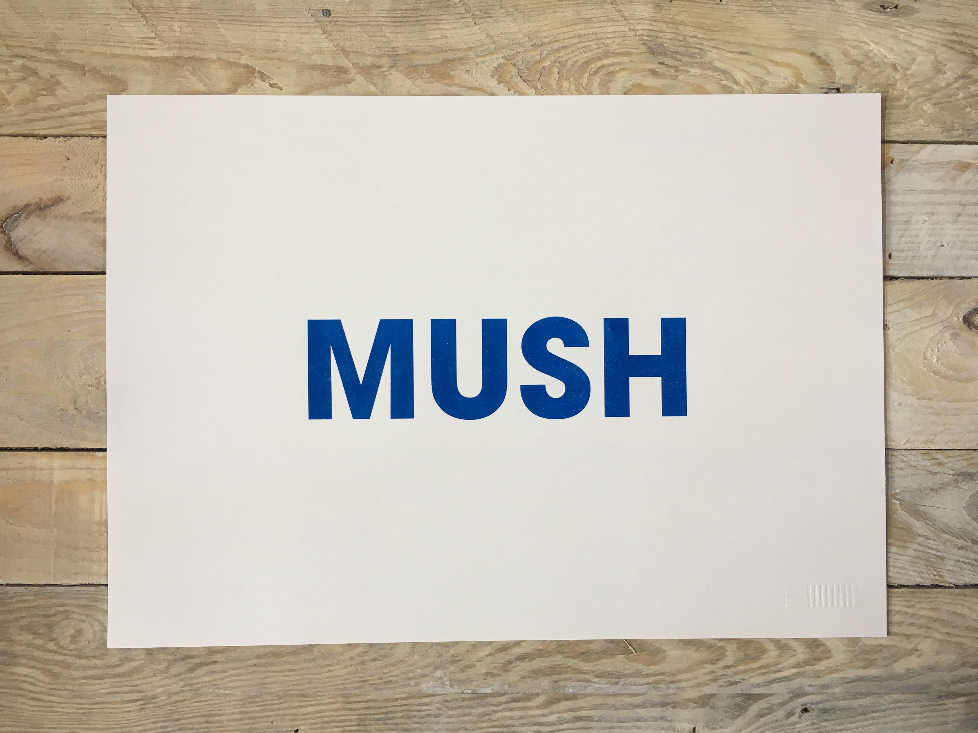 A3 MUSH RISO PRINT - POMPEY TYPE SERIES - foursandeights