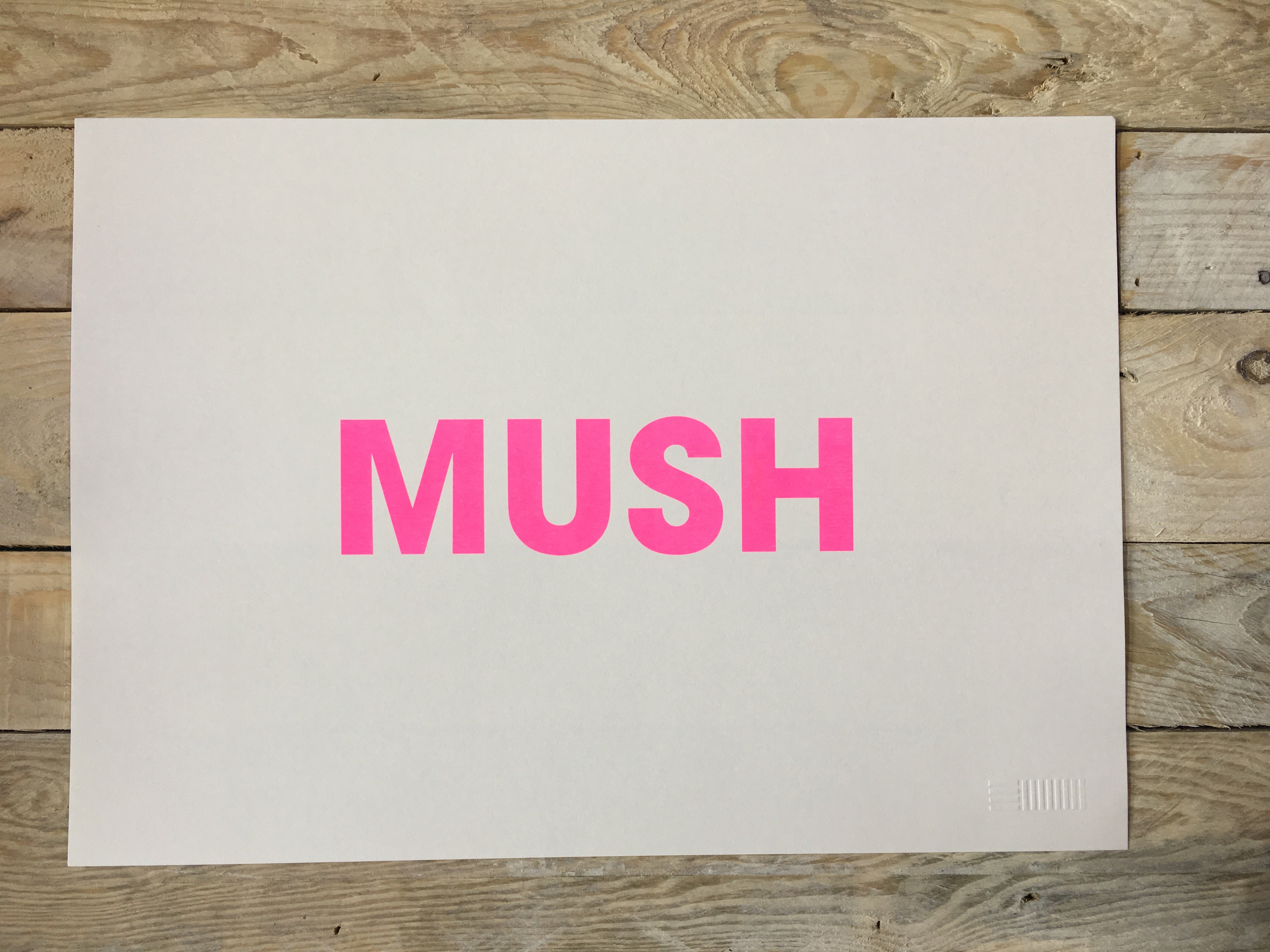 A3 MUSH RISO PRINT - POMPEY TYPE SERIES - foursandeights