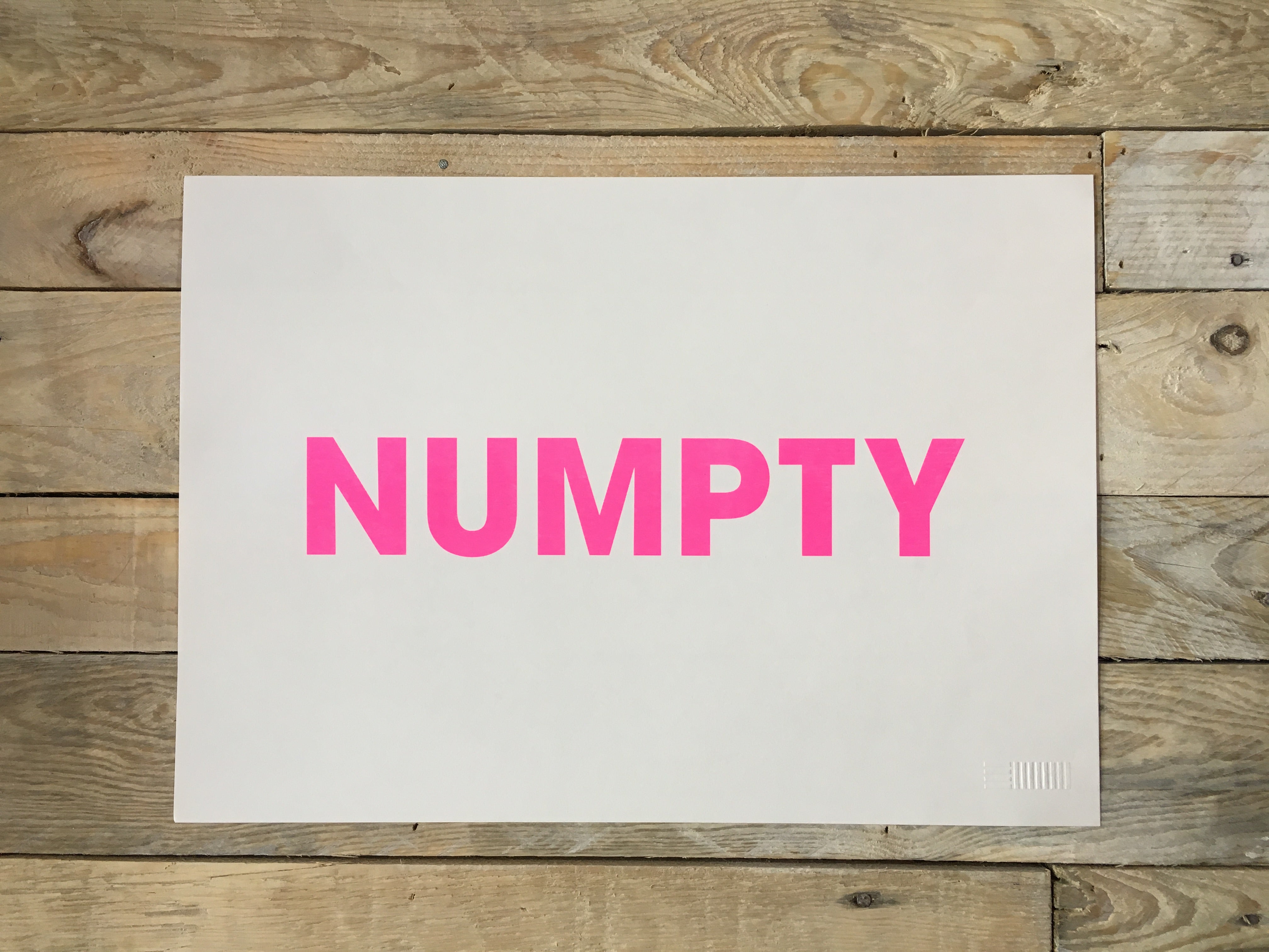 A3 NUMPTY RISO PRINT - POMPEY TYPE SERIES - foursandeights