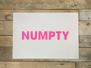 A3 NUMPTY RISO PRINT - POMPEY TYPE SERIES - foursandeights