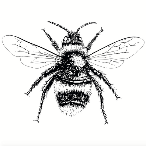 Kids Spring Paper Making Workshop (Save the Bees) Age 3+ 🐝 - foursandeights