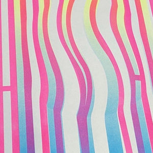 HOLY SHIT A3 RISO PRINT